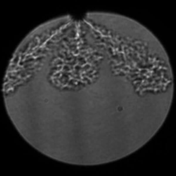 Clean Air Power - Fuel injection technology for low carbon powertrains